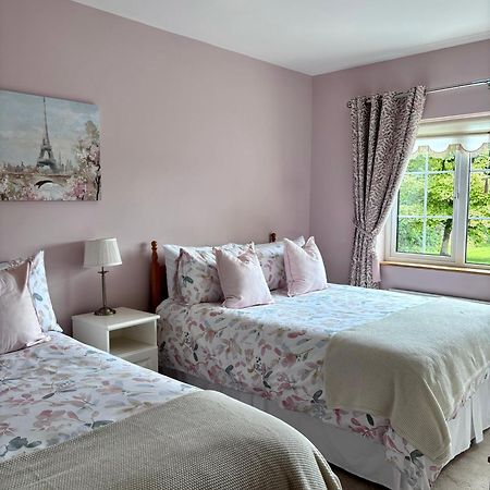 The Lodge Self Catering Castlerea Экстерьер фото